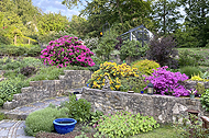 tl_files/garten/gaerten 2024/gaerten 2025/og_dd_2025_D20B_lit.jpg